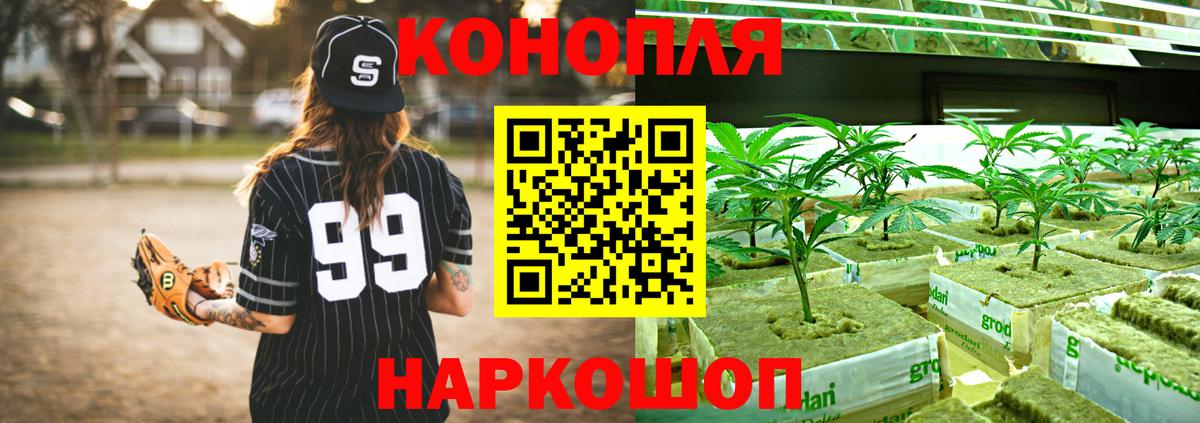 Краснокаменск  Каннабис Amnesia  Вход с VPN  Шишки марихуана марихуана 